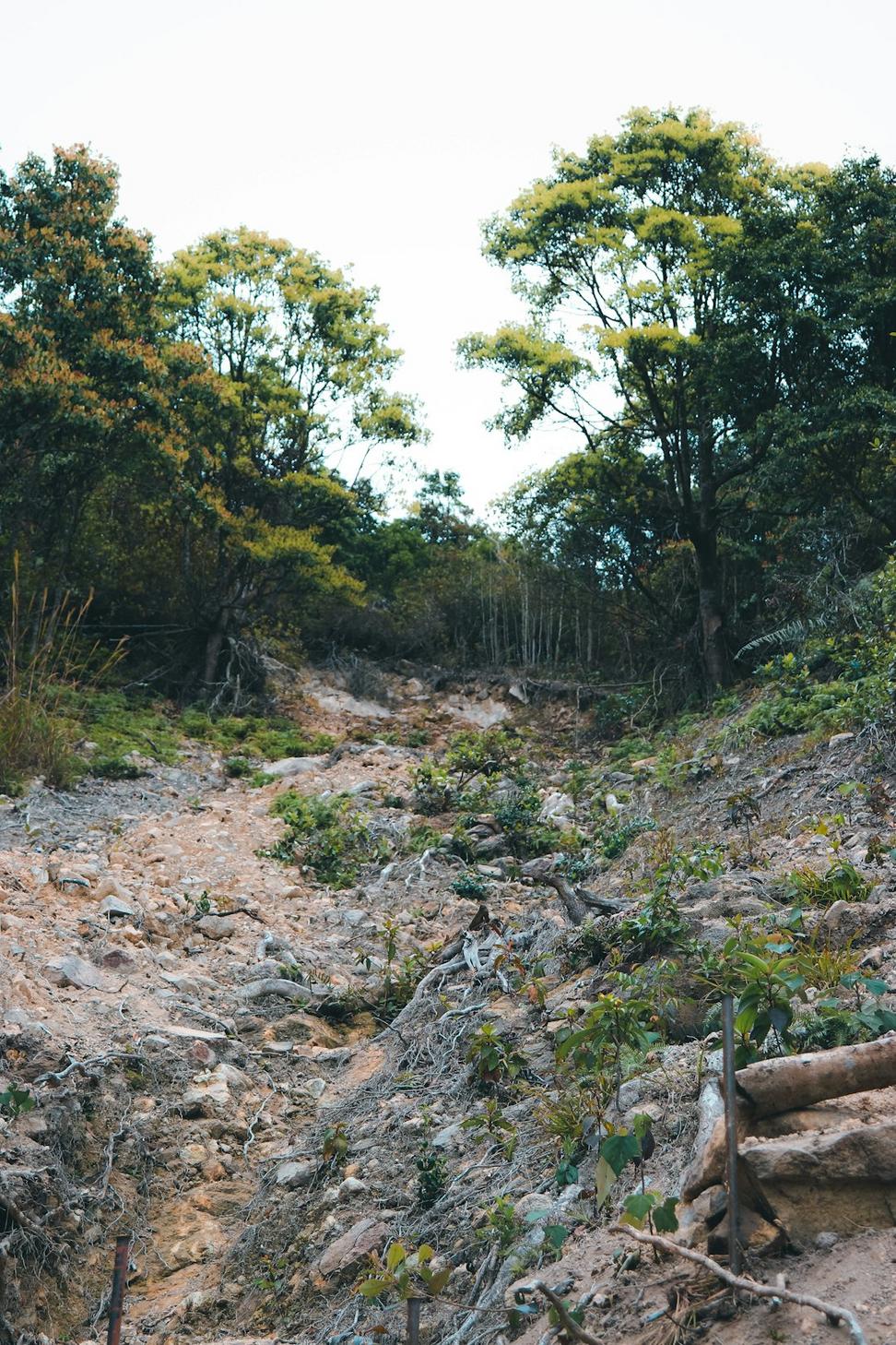 Environmental remediation